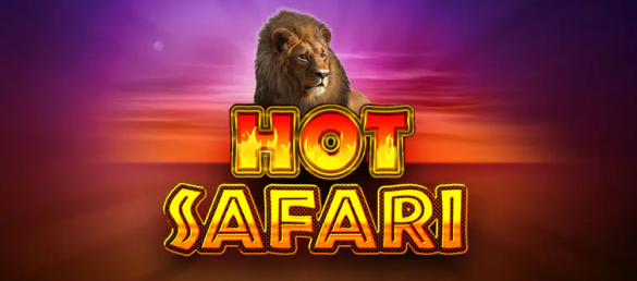 Hot Safari